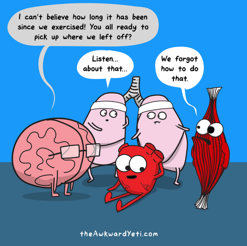 The Awkward Yeti