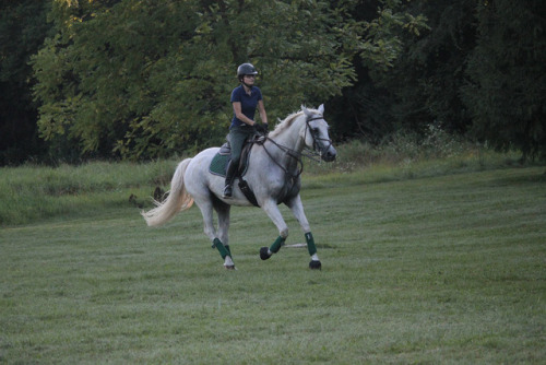 kremeroyale:One of my favorite late summer evening rides