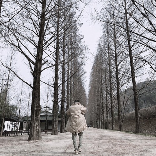 allforbts:190314 Namjoon’s Tweet담양 1 #RMDamyang 1 #RM*T/N:...