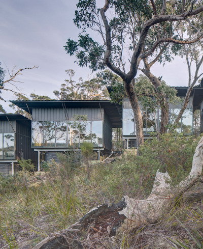 Three Capes Track Lodges / Andrew Burns Architectureph: