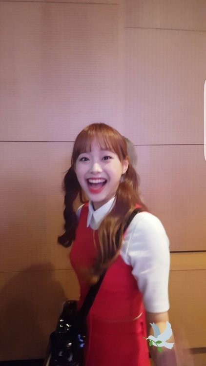 fyeah-chuu:Do not edit | © 리차차