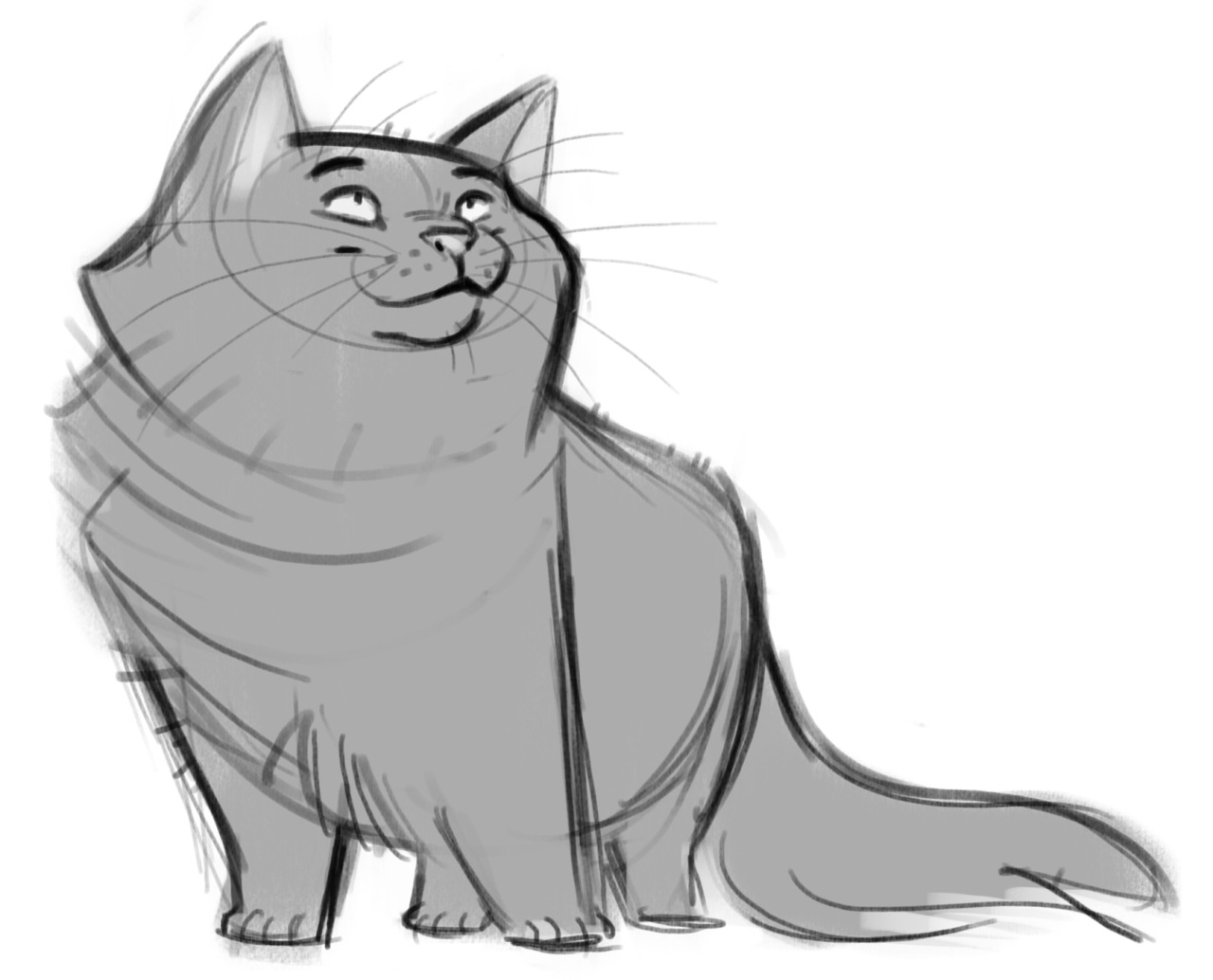 Daily Cat Drawings 101 Quick Sketch