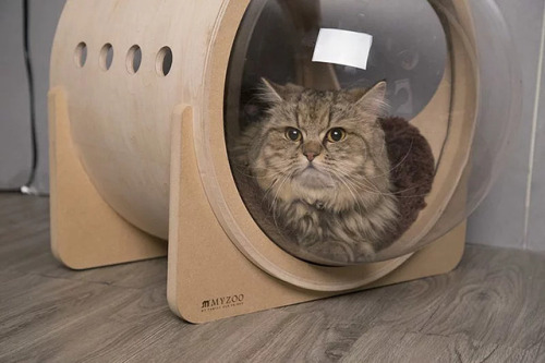 pr1nceshawn:Spaceship-Inspired Cat Beds.