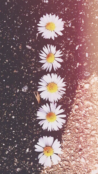 grunge iphone wallpaper Tumblr