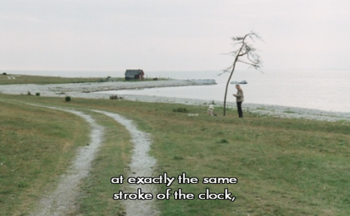 exhaustedscreen:The Sacrifice (Andrei Tarkovsky, 1986).