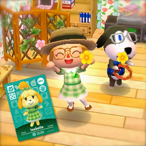 animalcrossingqrdesigns:Isabelle’s Green Gingham DressI made...