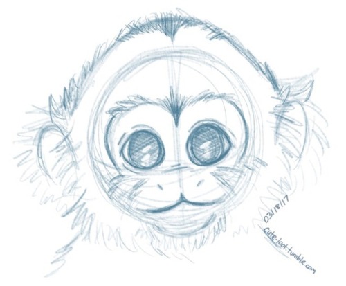 cute monkey on Tumblr