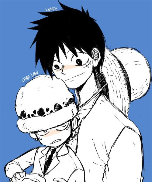 law x luffy on Tumblr