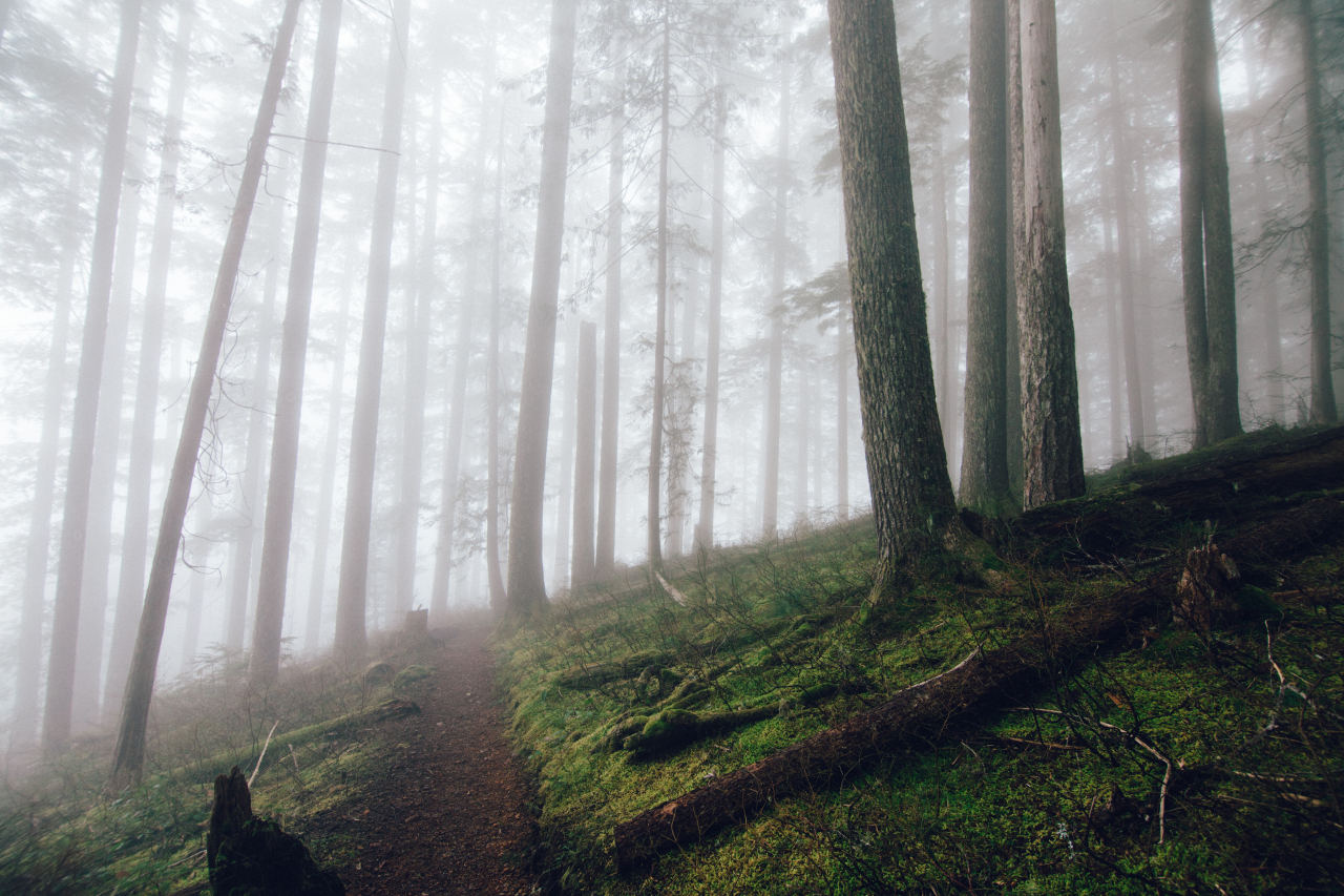 old man sea — samelkinsphoto: Today’s adventure with new...