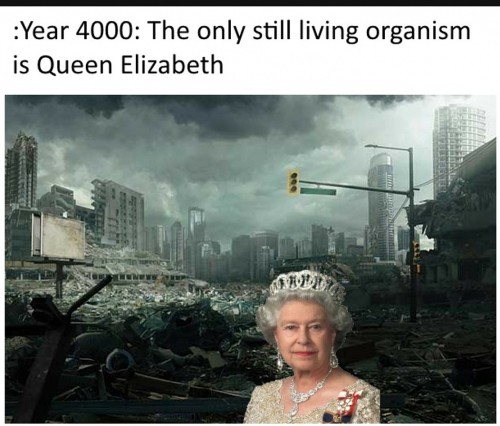 queen - Elizabeth - Funny Memes