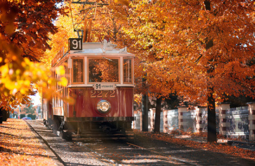 unfugbilder:Vielleicht ist es noch zu früh für Herbstfotos....