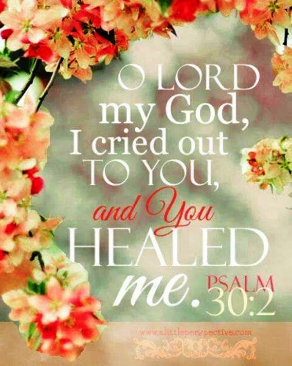 The Living... — Psalm 30:2 (NKJV) - O LORD my God, I cried out to...