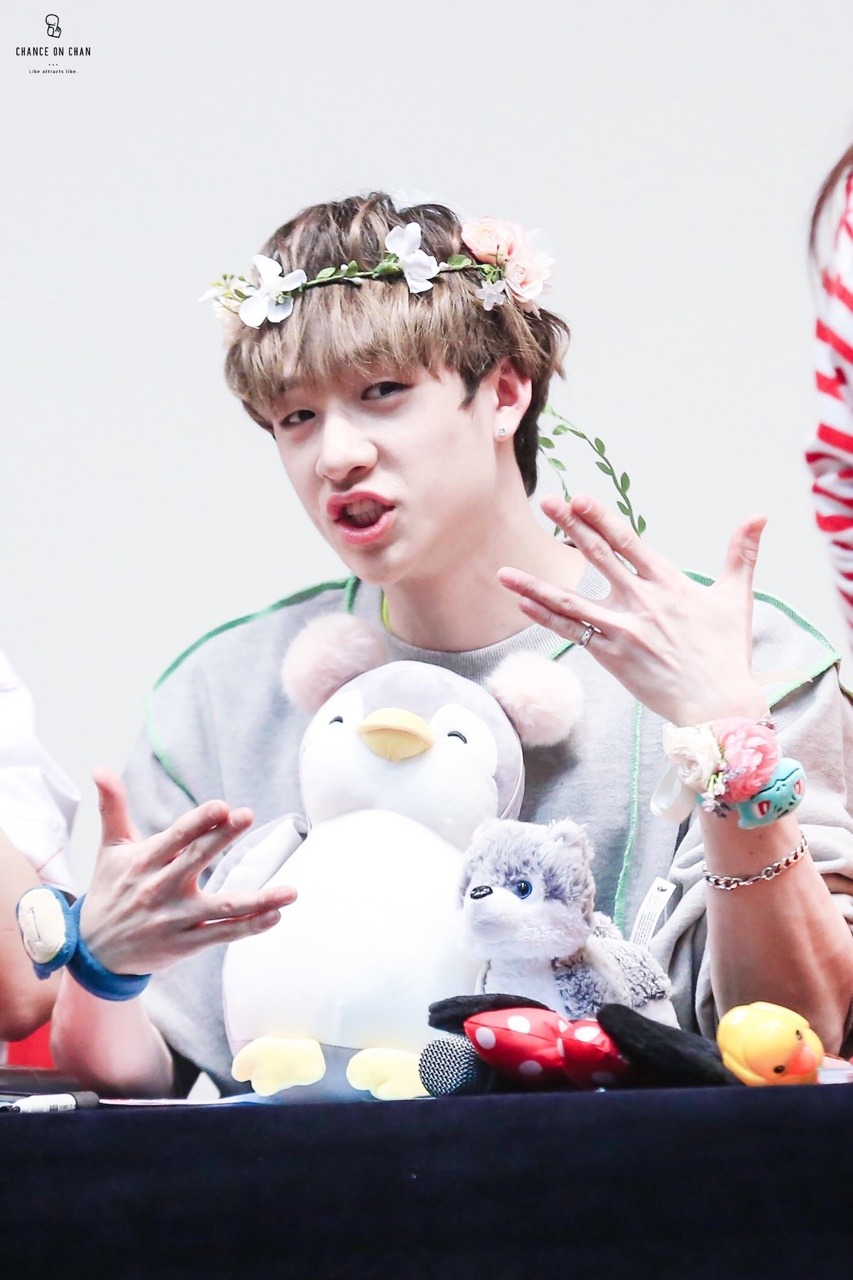 © CHANCE ON CHAN | do not edit or crop logo : FY! BANG CHAN