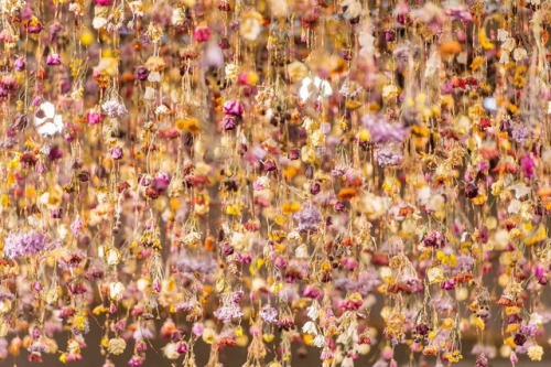 artruby:Rebecca Louise Law. 