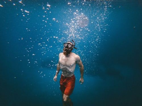 500px x 375px - skin diving | Tumblr