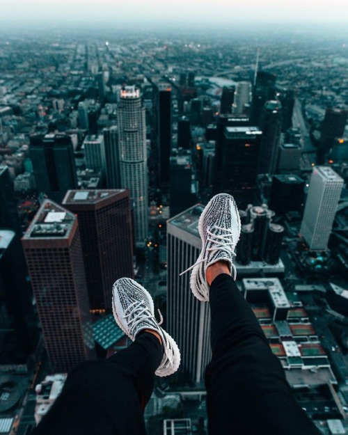 yeezy zebra tumblr