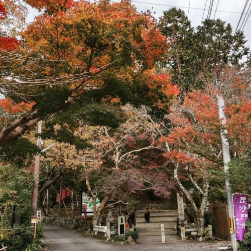 #京都 #山科 #昆沙門堂 （在...