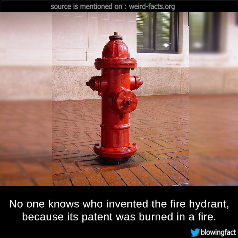 Was the Fire Hydrant Invented to Fight Fires or for Dog Hydration?