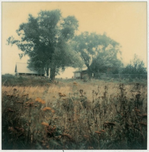 trulyvincent:Andrei Tarkovsky polaroids