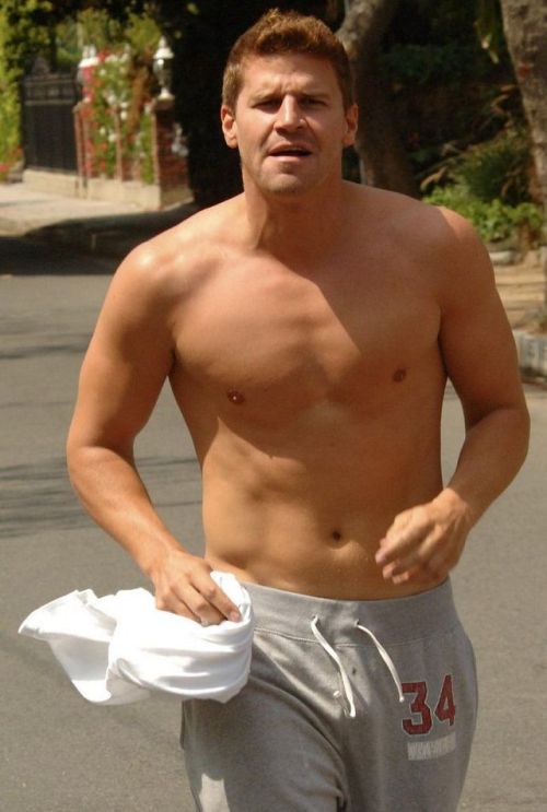 celebrity-dongs:David Boreanaz definitely started my Latino...