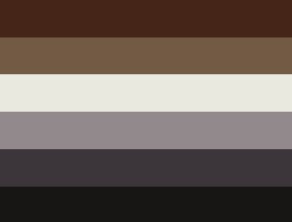 randomaesflags:Raccoon GayRequested by Anonymous