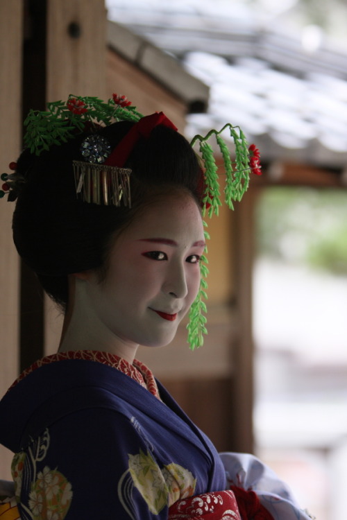 Maiko Fukuharu, Gion Higashi (via 八千代で舞妓さん撮影　ー富久春さんー : 写真生活)
