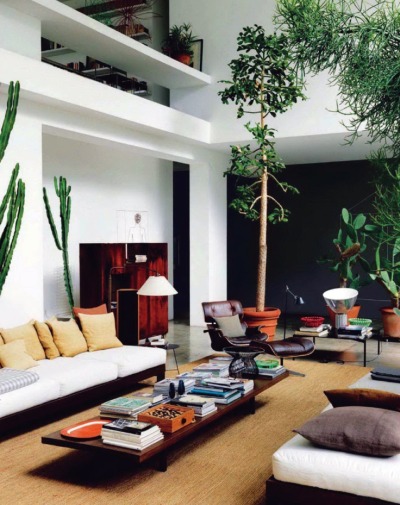 Plants in a tall living room