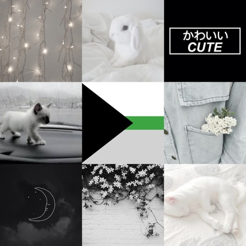 lowkey-mcgee:Demiromantic Cute Moodboard for anon! <3