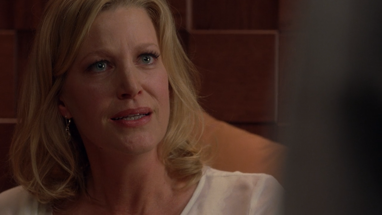 Anna Gunn As Skyler White In Season Five B Of Emmy Nominated