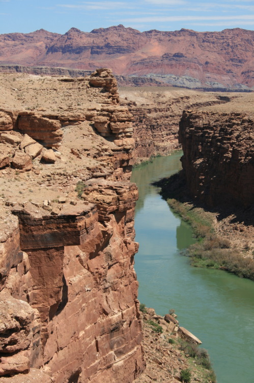 deanschlichting:Colorado river, at Navajo Bridge, USA