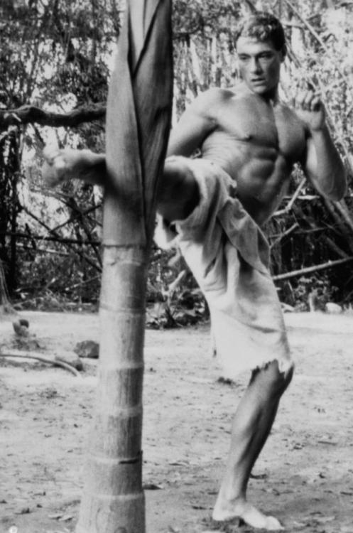 kickboxer van damme jcvd