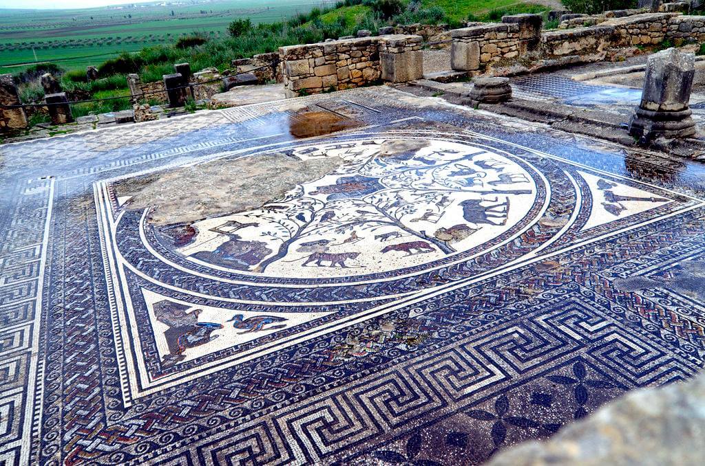 Roman mosaic floors. Volubilis - a excavated Roman city in Morocco It grew rapidly under Roman rule from the 1st century AD onward and expanded to cover about 42 hectares (100 acres) with a 2.6 km (1.6 mi) circuit of walls. The city gained a number...