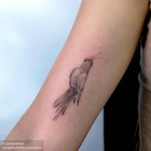 By Comotattoo, done in Seoul. http://ttoo.co/p/210495 small;single needle;inner arm;animal;tiny;bird;cacatua;como;ifttt;little
