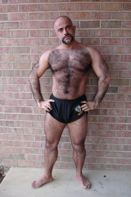 Bears, muscle and hairy fellas