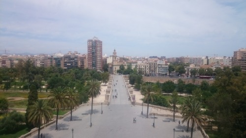 On top of the world. Valencia, Spain.