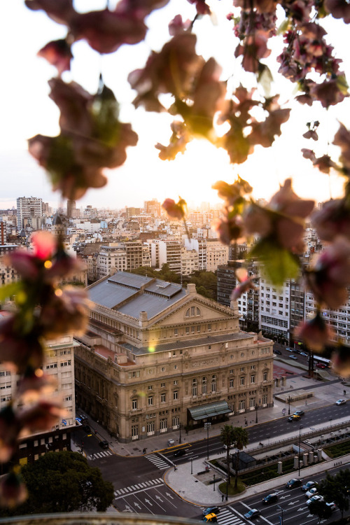 samhorine:sunsetting in the city center, buenos aires - july...