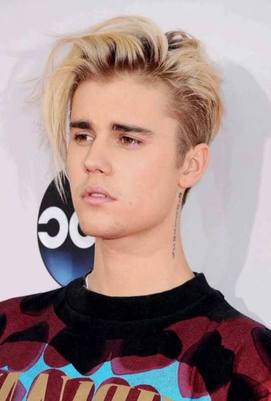 Justin Bieber Hairstyle Explorefreedomusa Tk