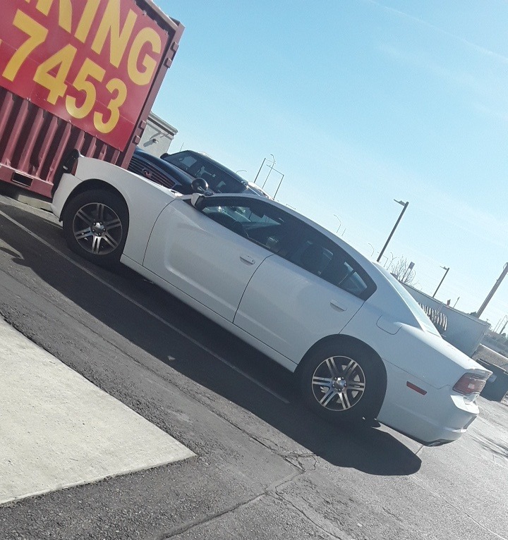 dodge charger police undercover
