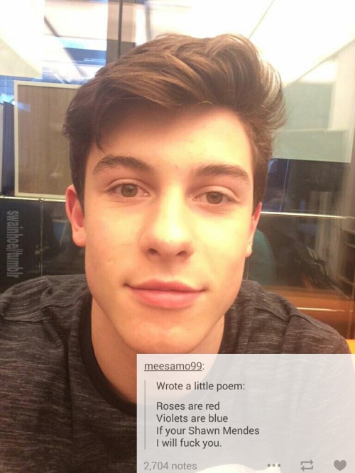 shawn mendes imagine on Tumblr