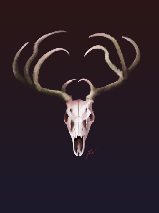 deer art on Tumblr