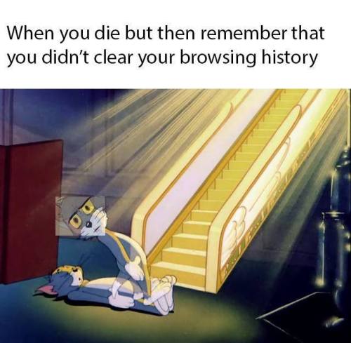 lolwtfmemes