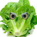 blog logo of Tath's Lettuces