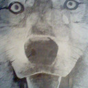 blog logo of The Drawn Wolf