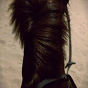 blog logo of Equestrian and horses