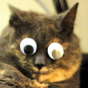 blog logo of Unflattering Cat Selfies