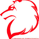 blog logo of The Wolf's Eye