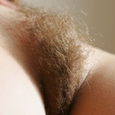 blog logo of Hairy Bush