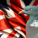 blog logo of You Know You're British When...