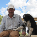 blog logo of Border Collie and Hermit