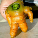 blog logo of That carrot is totally shredded